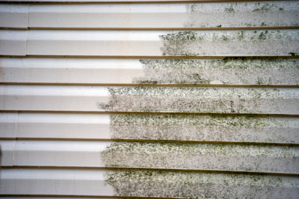 Best Siding Removal and Disposal  in Mattawan, MI