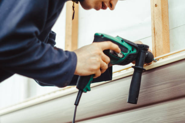 Best Custom Siding Design  in Mattawan, MI